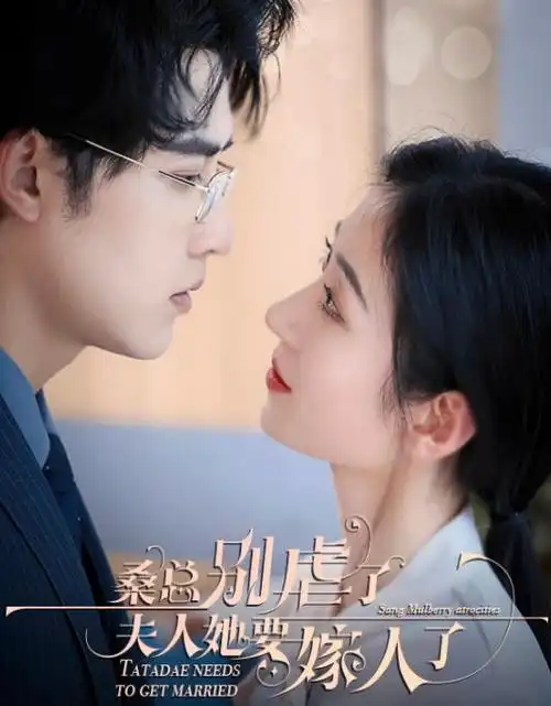 城南旧事簿年代剧全集免费在线观看