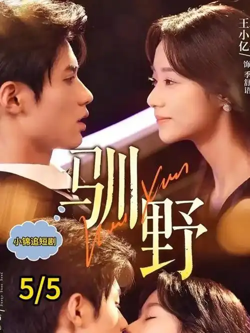 千灯巷古装电视剧全集手机在线观看